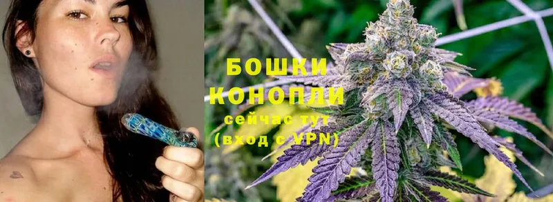 МАРИХУАНА SATIVA & INDICA  Горнозаводск 